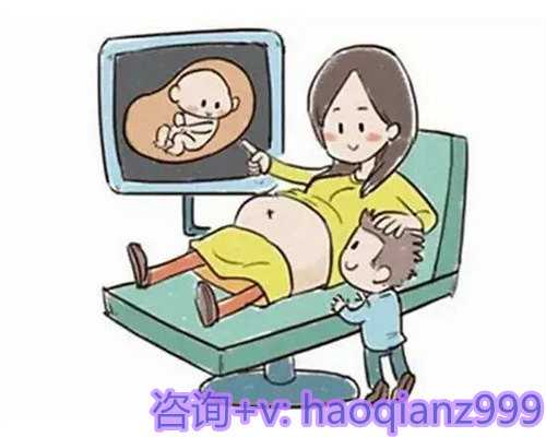 上海第二代试管婴儿费用明细是怎么样的？详细解读