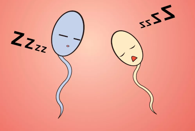 单身男性可以试管生孩子吗,上海同济医院试管婴儿价格公开，附试管手术流程